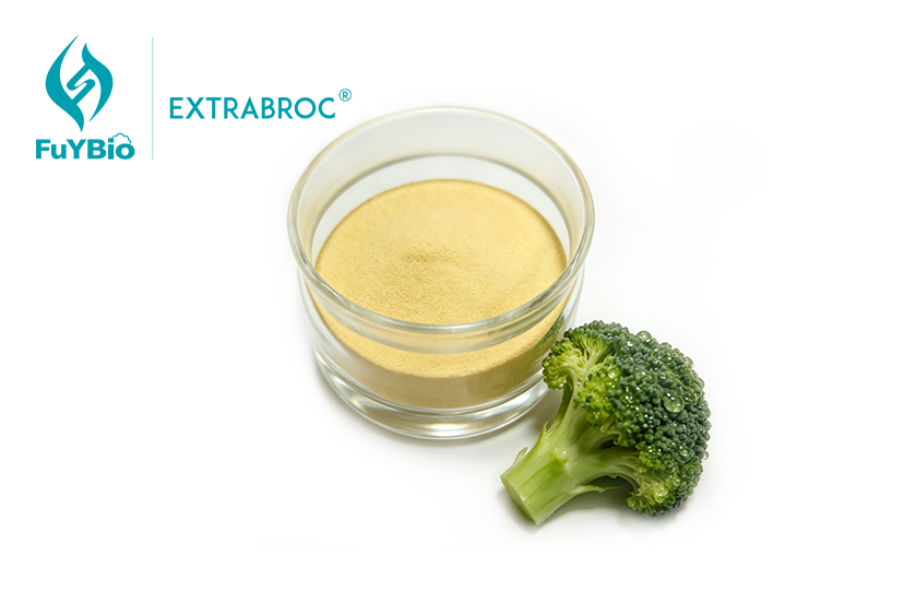 Broccoli Seed Powder